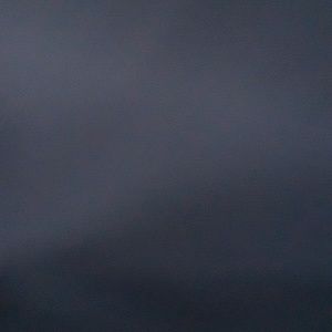 Meet your Posher, Rose